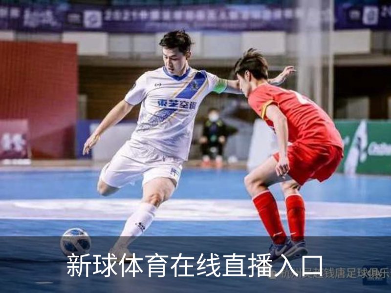 新球体育在线直播入口简介